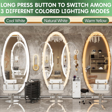 70" X 36" Large Wall Mounted Mirror with LED Lights, Oval Full Length LED Lighted Full Body Dressing Mirror for Bedroom, Salon, Brushed Aluminum Frame, Tempered Glass